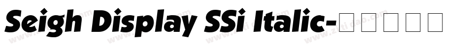 Seigh Display SSi Italic字体转换